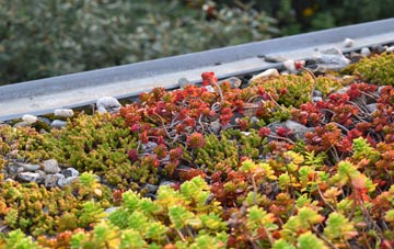 the cost of Leighton Buzzard green roof installation