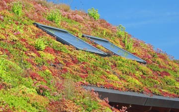 Leighton Buzzard living roof systems