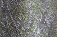 Leighton Buzzard fibreglass roof work